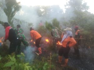 IMG-20190724-WA0187